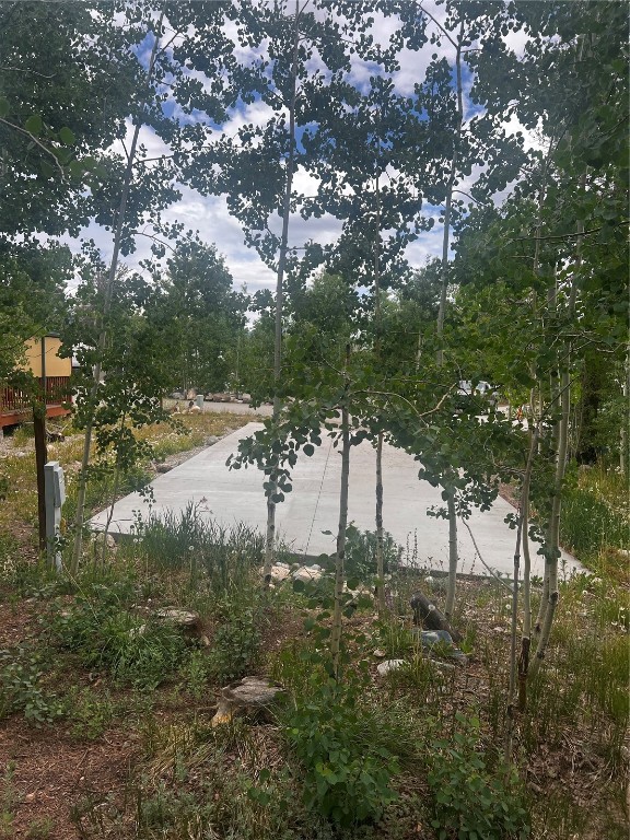 228 Sunshine Loop Fairplay, CO 80440 - Photo 4 of 12 a view of a yard