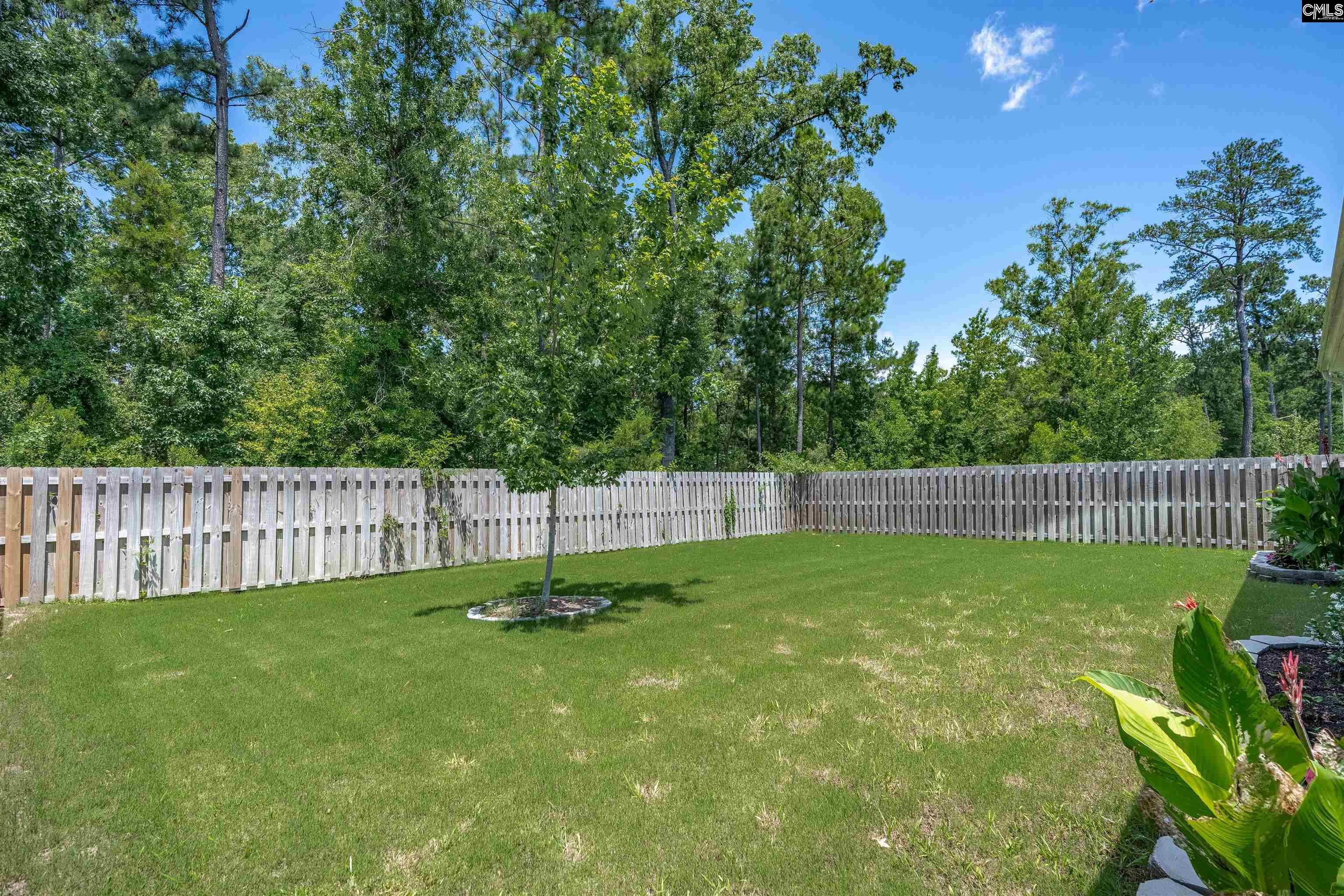 329 Sycamore Crest Way Chapin, SC 29036 - Photo 41 of 43