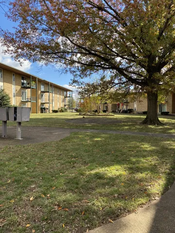 a big yard with trees