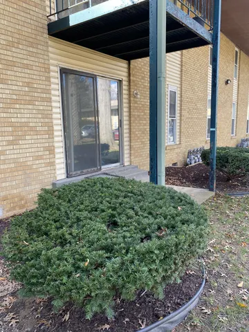 a view of a backyard with plants