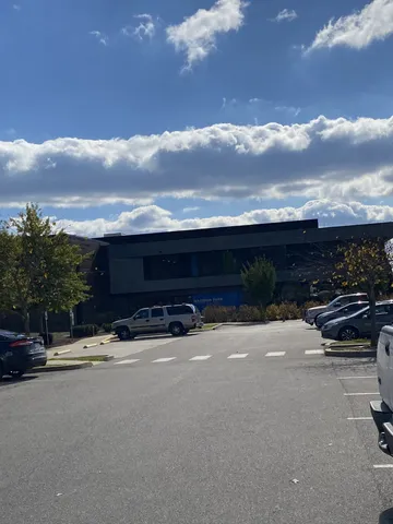 a view of a trees in a park