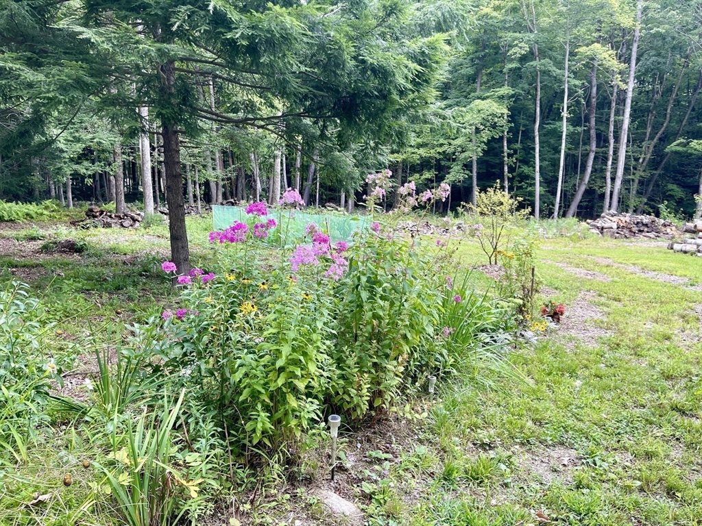 67 Crane Road Chester, MA 01011 - Photo 11 of 21 a view of outdoor space and garden view