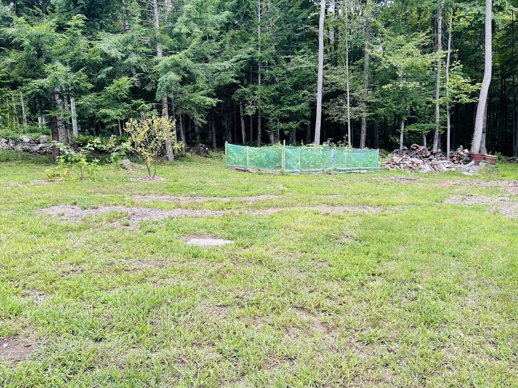 67 Crane Road Chester, MA 01011 - Photo 12 of 21 a view of a park with large trees