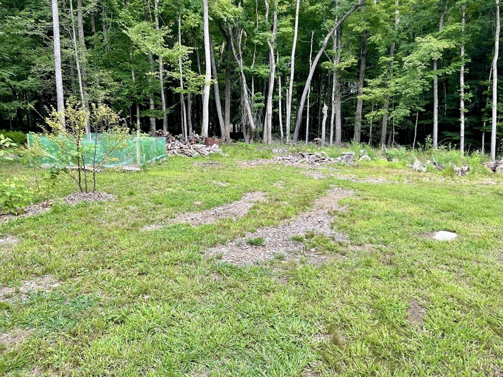 67 Crane Road Chester, MA 01011 - Photo 15 of 21 a view of a park with plants and trees