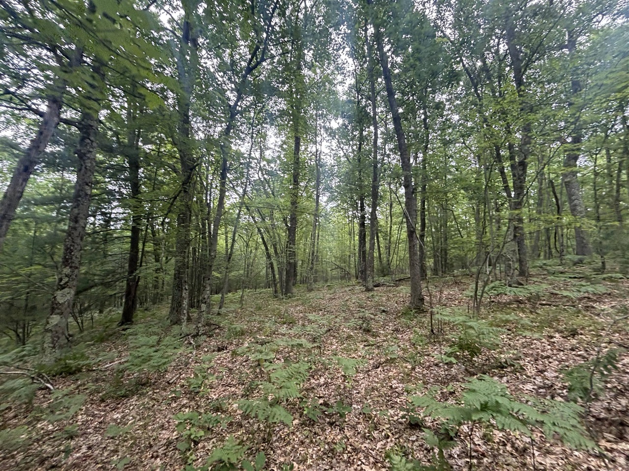 7376 West 7 Mile Road Mesick, MI 49668 - Photo 13 of 26 Gallery Image 13