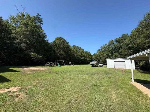 a view of a big yard with a large tree