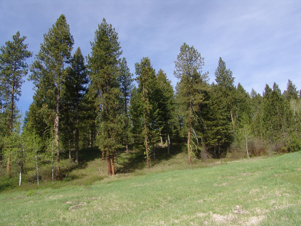 21 Rehn Loop, Unit 4 Cascade, ID 83611 - Photo 9 of 13 Located in Aspen Crest Subdivision