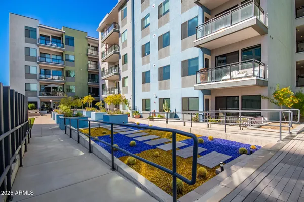 a view of a swimming pool with a lounge chairs