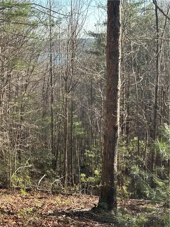 $55,000 | Lot 160 Club House Drive, Sunset, SC 29685