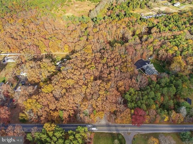 924 Mays Landing Road Hammonton, NJ 08037 - Photo 13 of 46