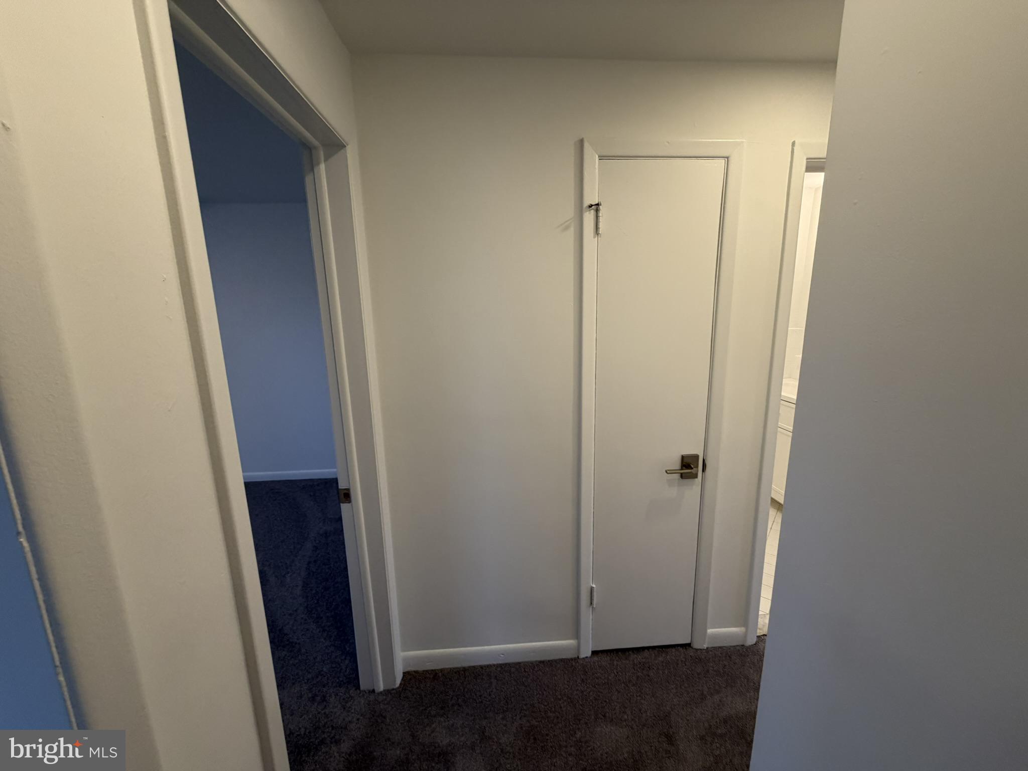 22 Windsor Road, Unit 2 Glenside, PA 19038 - Photo 18 of 29 Inviting hallway with modern doors.