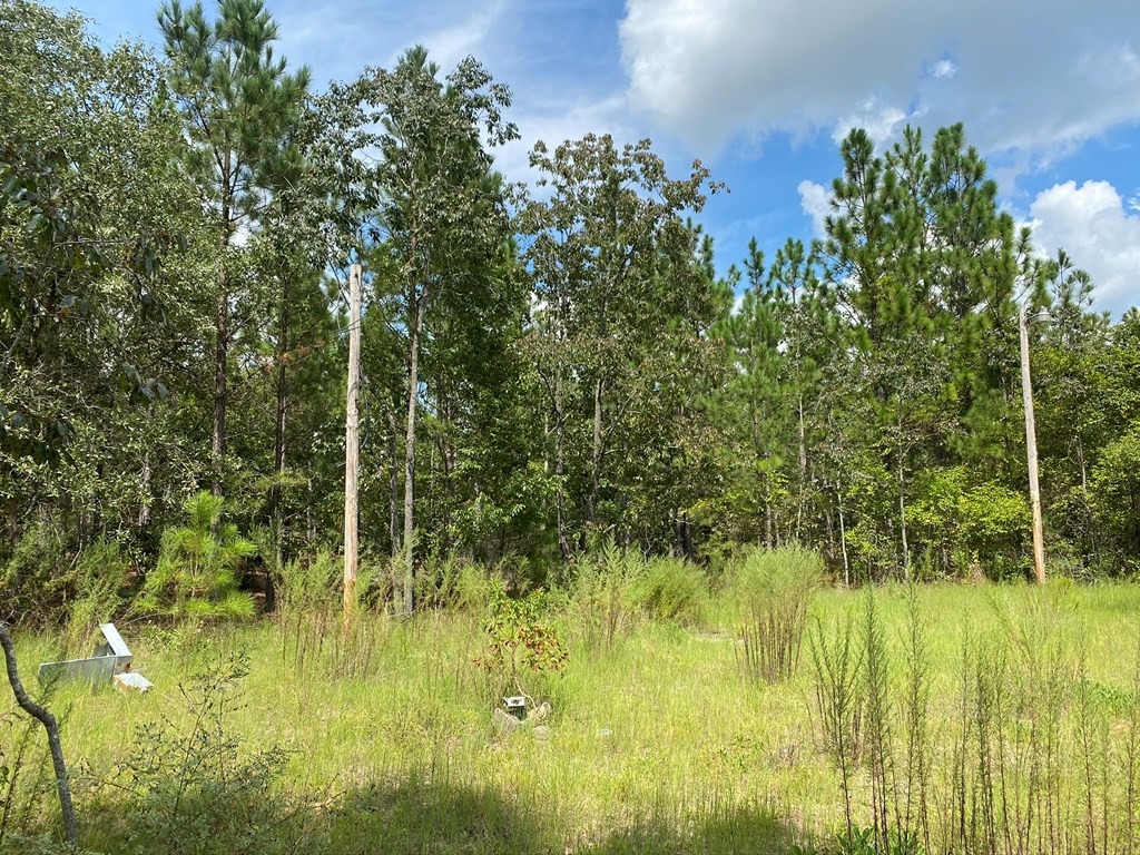 487 Pine Acres Road Windsor, SC 29856 - Photo 5 of 21
