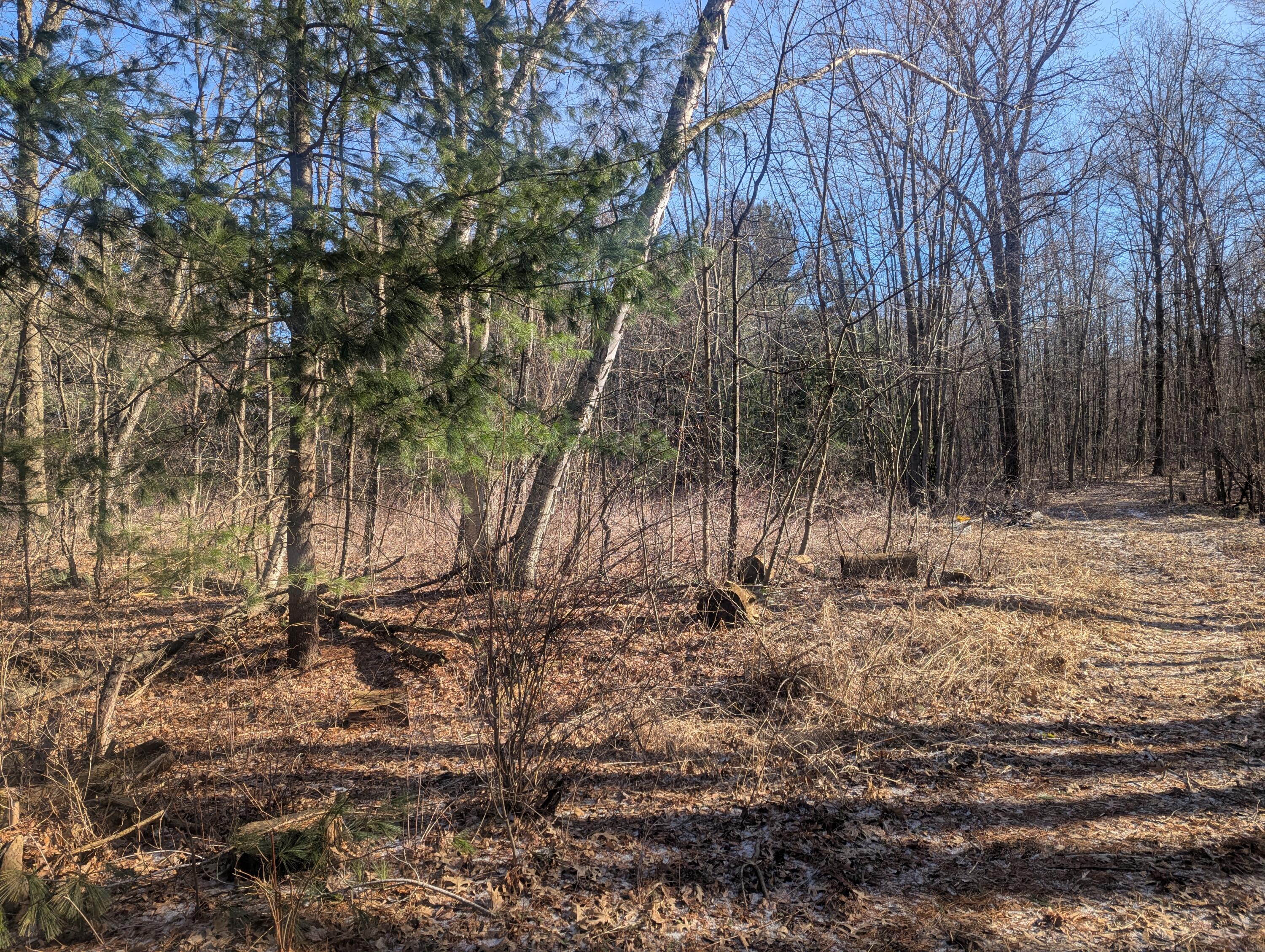 0 East Road Montrose, MI 48457 - Photo 1 of 14 PXL_20260314_142838960