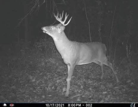Xx Xx Simons Road Mondovi, WI 54755 - Photo 3 of 45