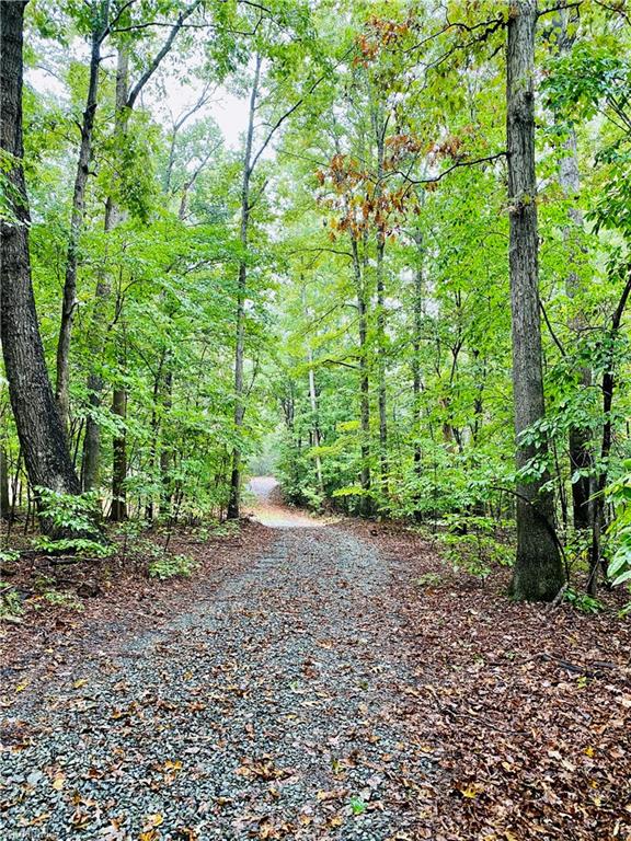 1783 Soapstone Mountain Road Staley, NC 27355 - Photo 2 of 38
