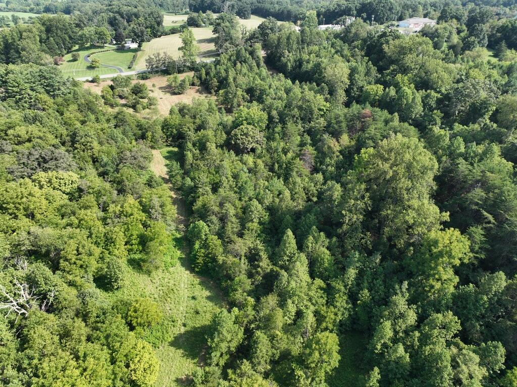 14349 Moneta Road Moneta, VA 24121 - Photo 19 of 23 AD883278-FE8D-4F60-8556-F8DE363F7AB9_1_1