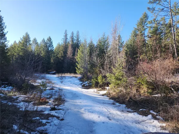 $160,000 | 318 Rockabye Lane, Curlew, WA 99118