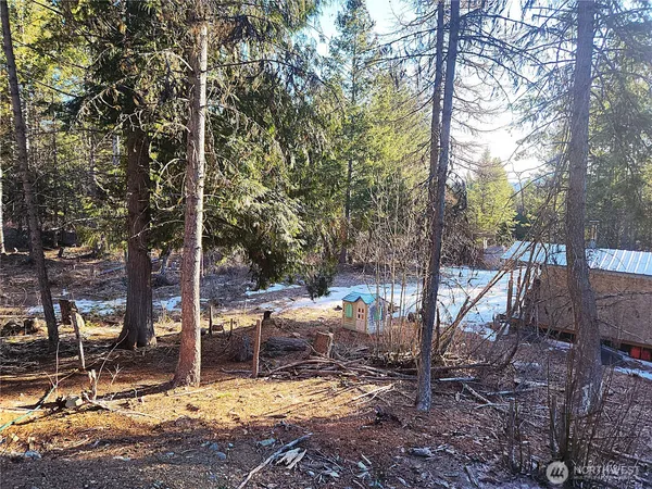 $160,000 | 318 Rockabye Lane, Curlew, WA 99118