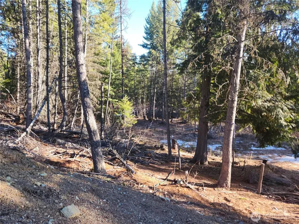 $160,000 | 318 Rockabye Lane, Curlew, WA 99118