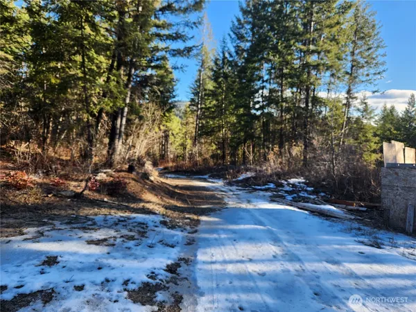 $160,000 | 318 Rockabye Lane, Curlew, WA 99118