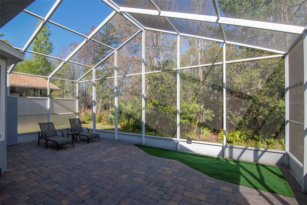 8205 Ponkan Road Land O Lakes, FL 34637 - Photo 25 of 59