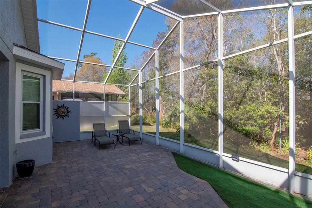 8205 Ponkan Road Land O Lakes, FL 34637 - Photo 26 of 59