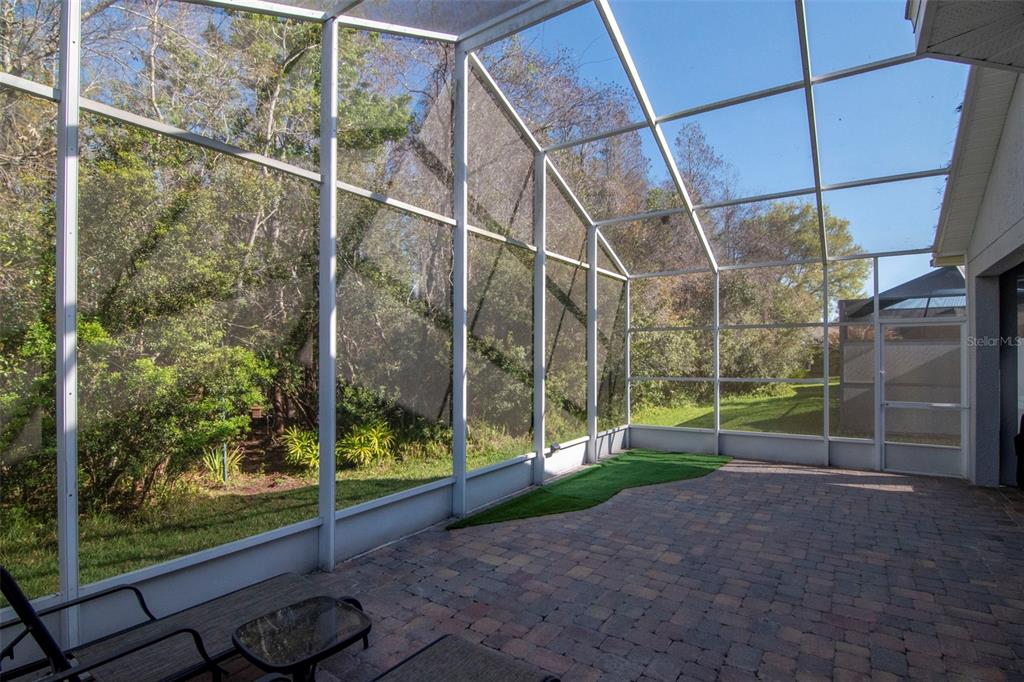 8205 Ponkan Road Land O Lakes, FL 34637 - Photo 27 of 59