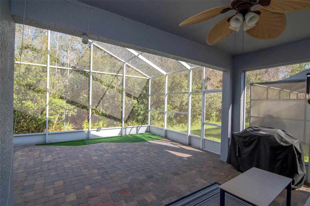 8205 Ponkan Road Land O Lakes, FL 34637 - Photo 28 of 59