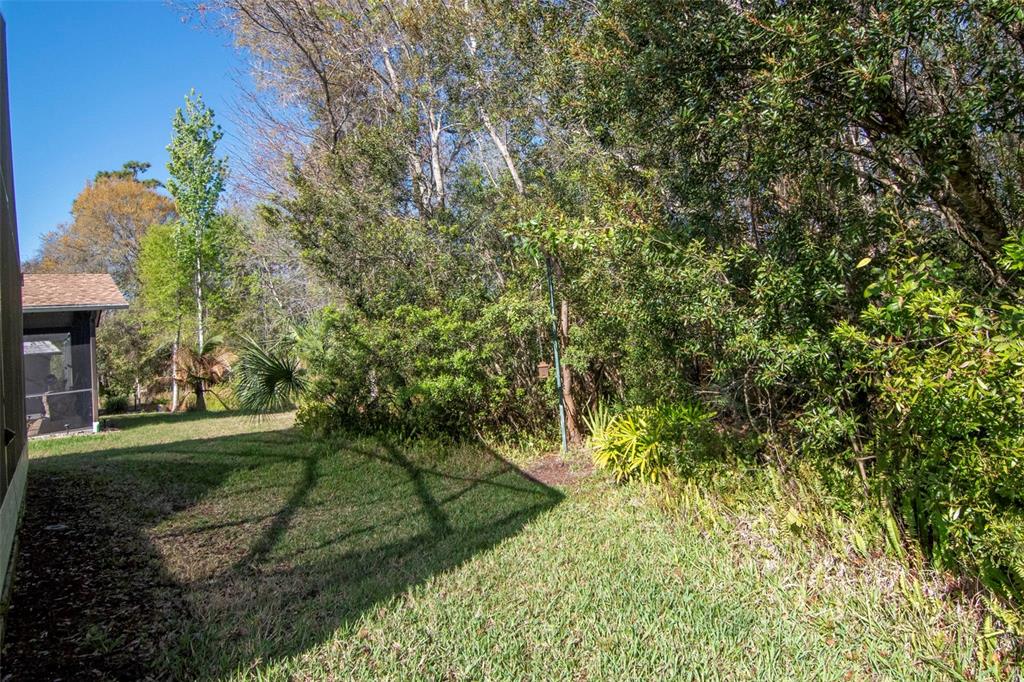 8205 Ponkan Road Land O Lakes, FL 34637 - Photo 42 of 59