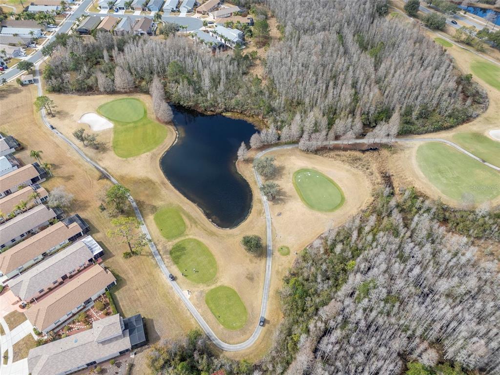 8205 Ponkan Road Land O Lakes, FL 34637 - Photo 48 of 59