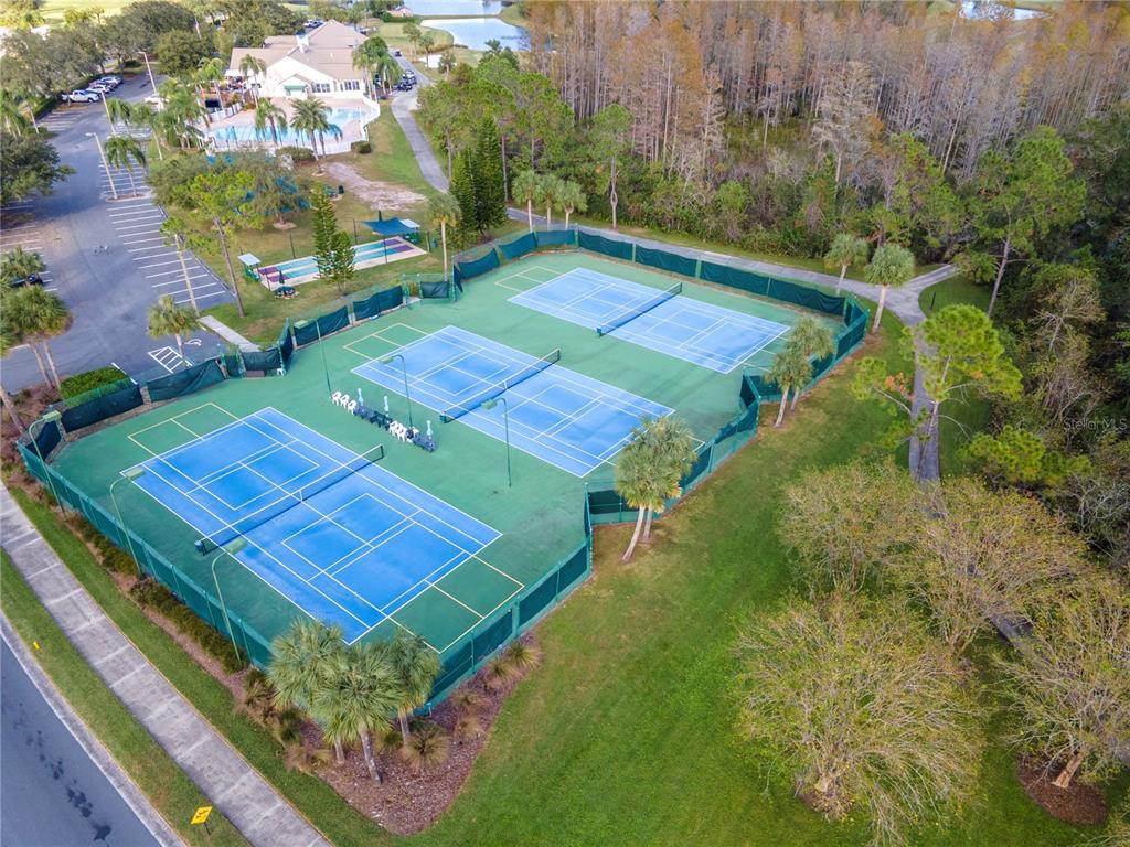 8205 Ponkan Road Land O Lakes, FL 34637 - Photo 54 of 59