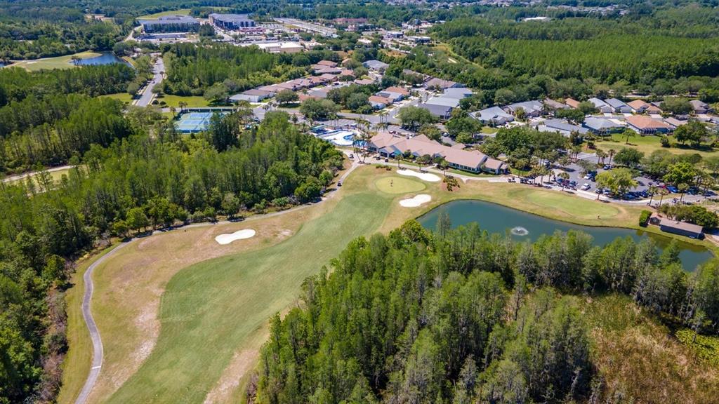 8205 Ponkan Road Land O Lakes, FL 34637 - Photo 57 of 59