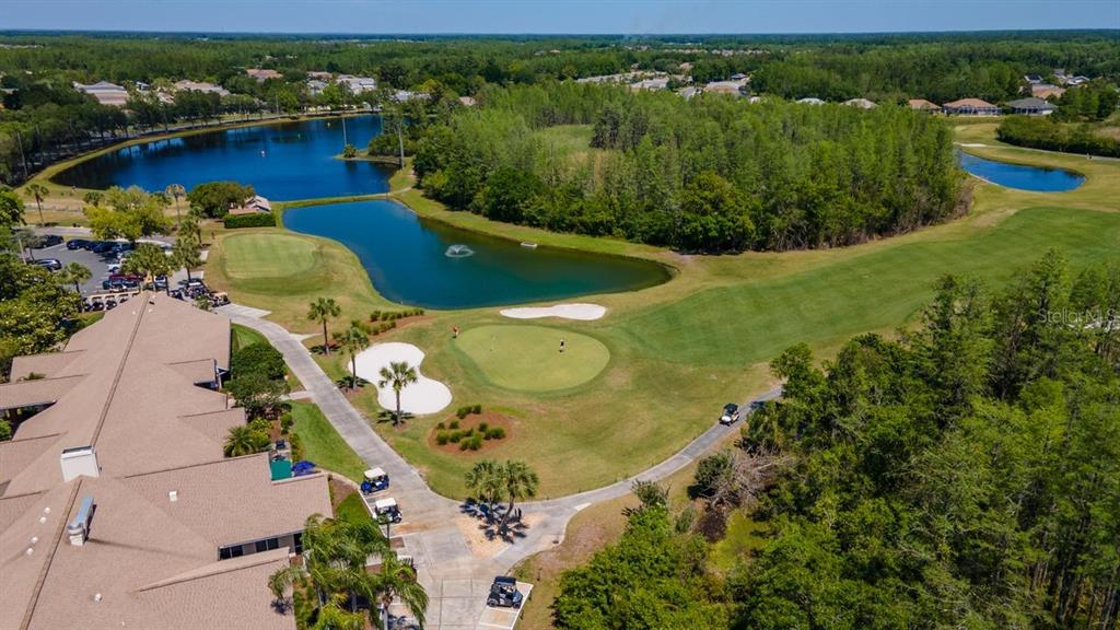 8205 Ponkan Road Land O Lakes, FL 34637 - Photo 58 of 59