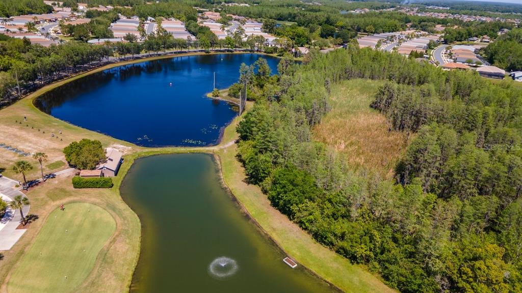 8205 Ponkan Road Land O Lakes, FL 34637 - Photo 59 of 59