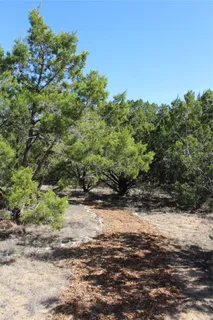a street view covered with snow