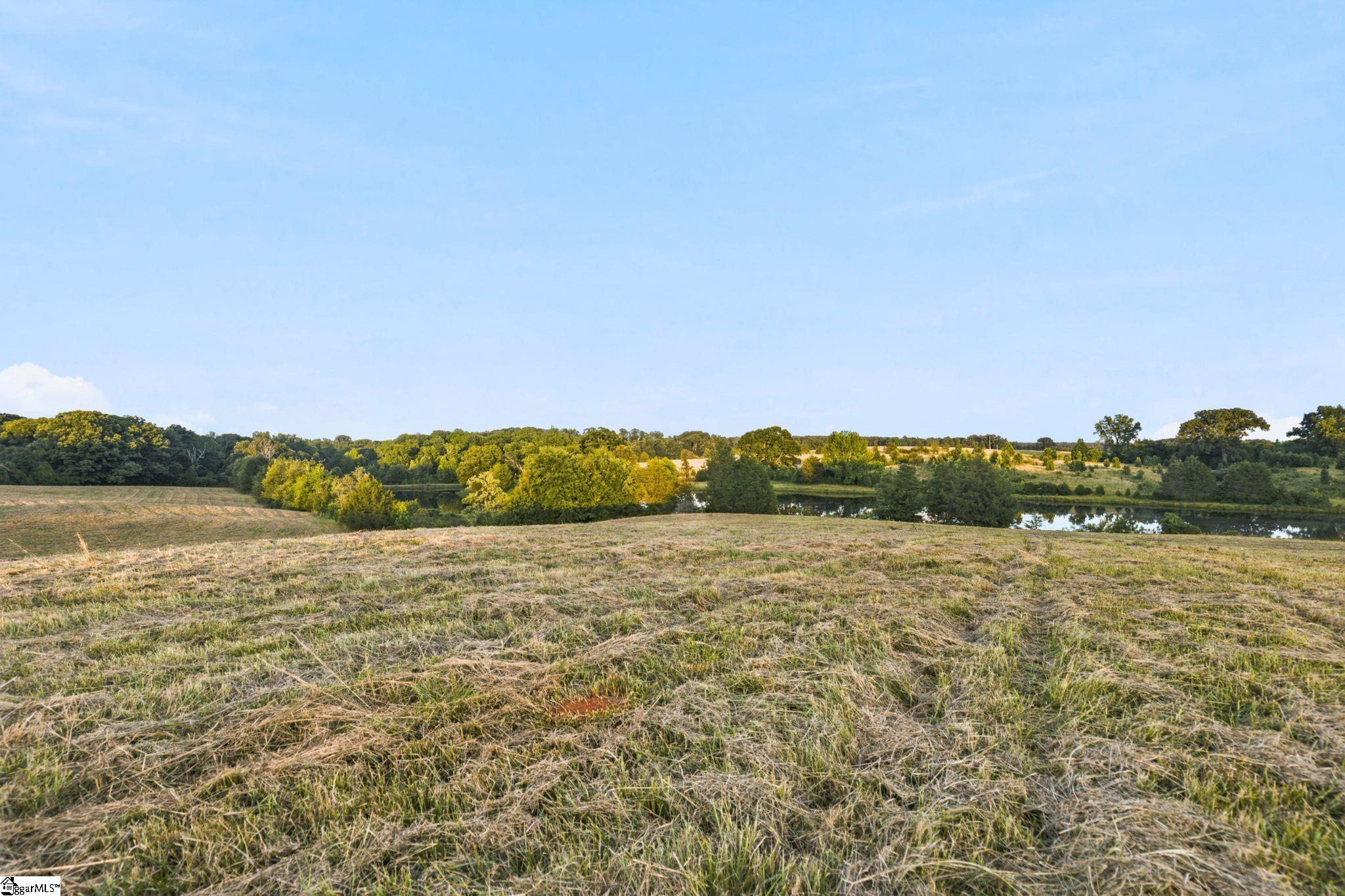 0 252nd Highway Ware Shoals, SC 29692 - Photo 9 of 12