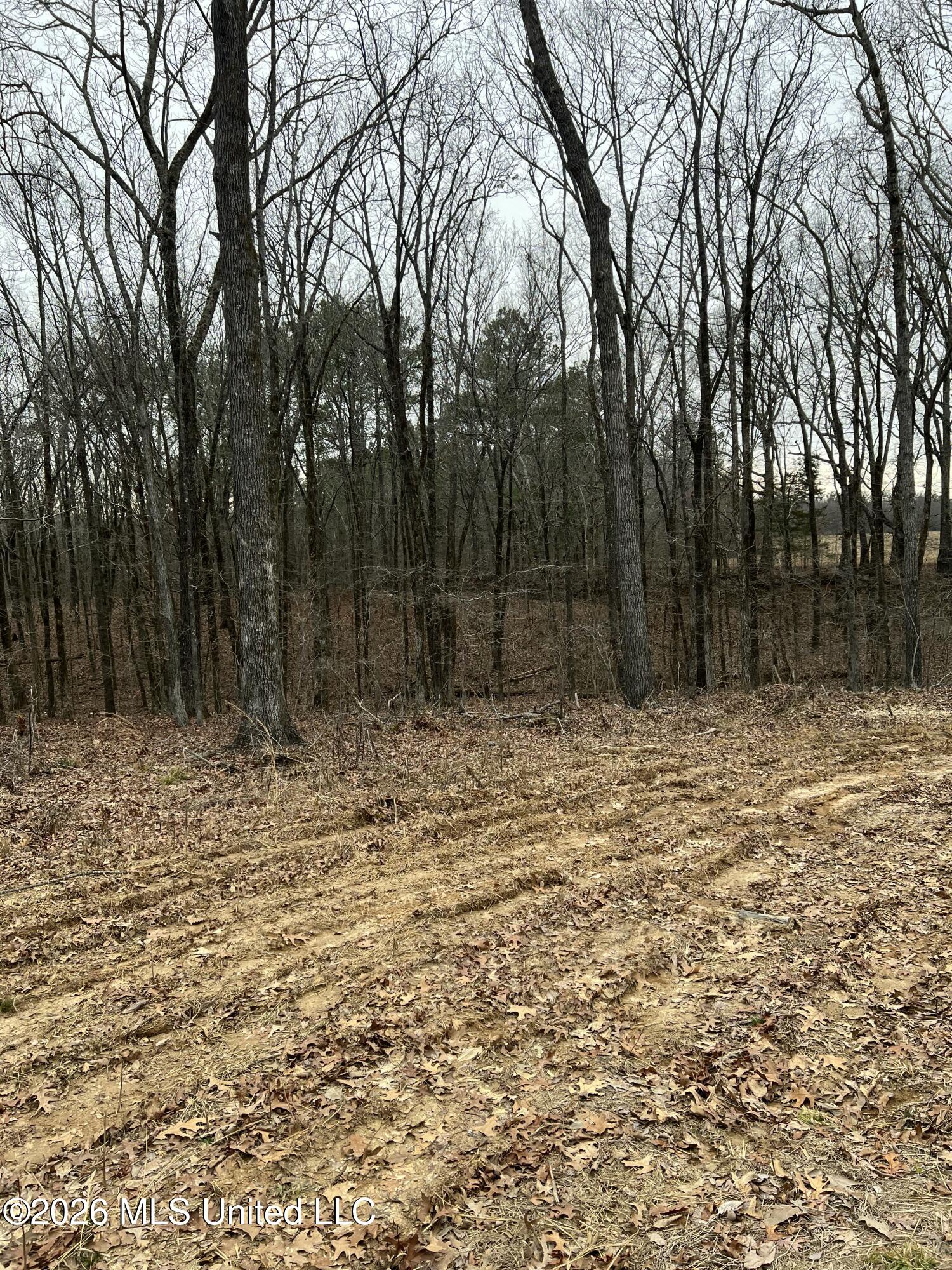 711 Boswell Road Holly Springs, MS 38635 - Photo 5 of 10 IMG_0792