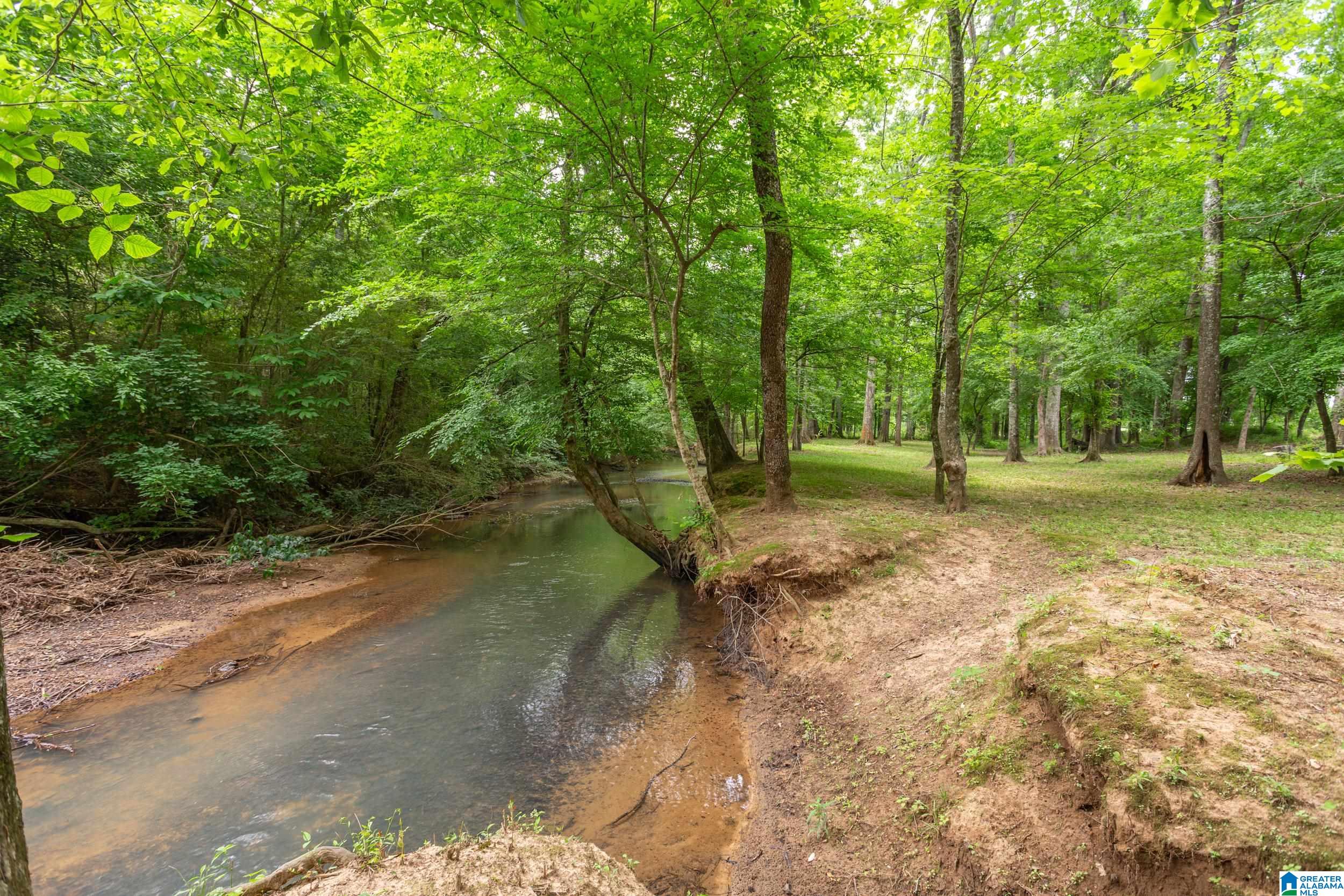 544 Fann Road Steele, AL 35987 - Photo 37 of 84