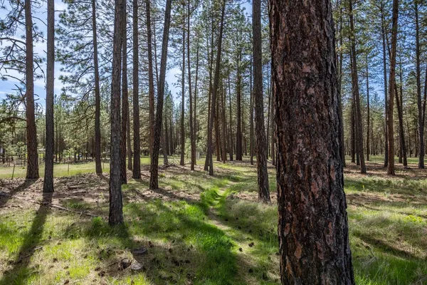 $325,000 | 7506 West Johannsen Avenue, Nine Mile Falls, WA 99026