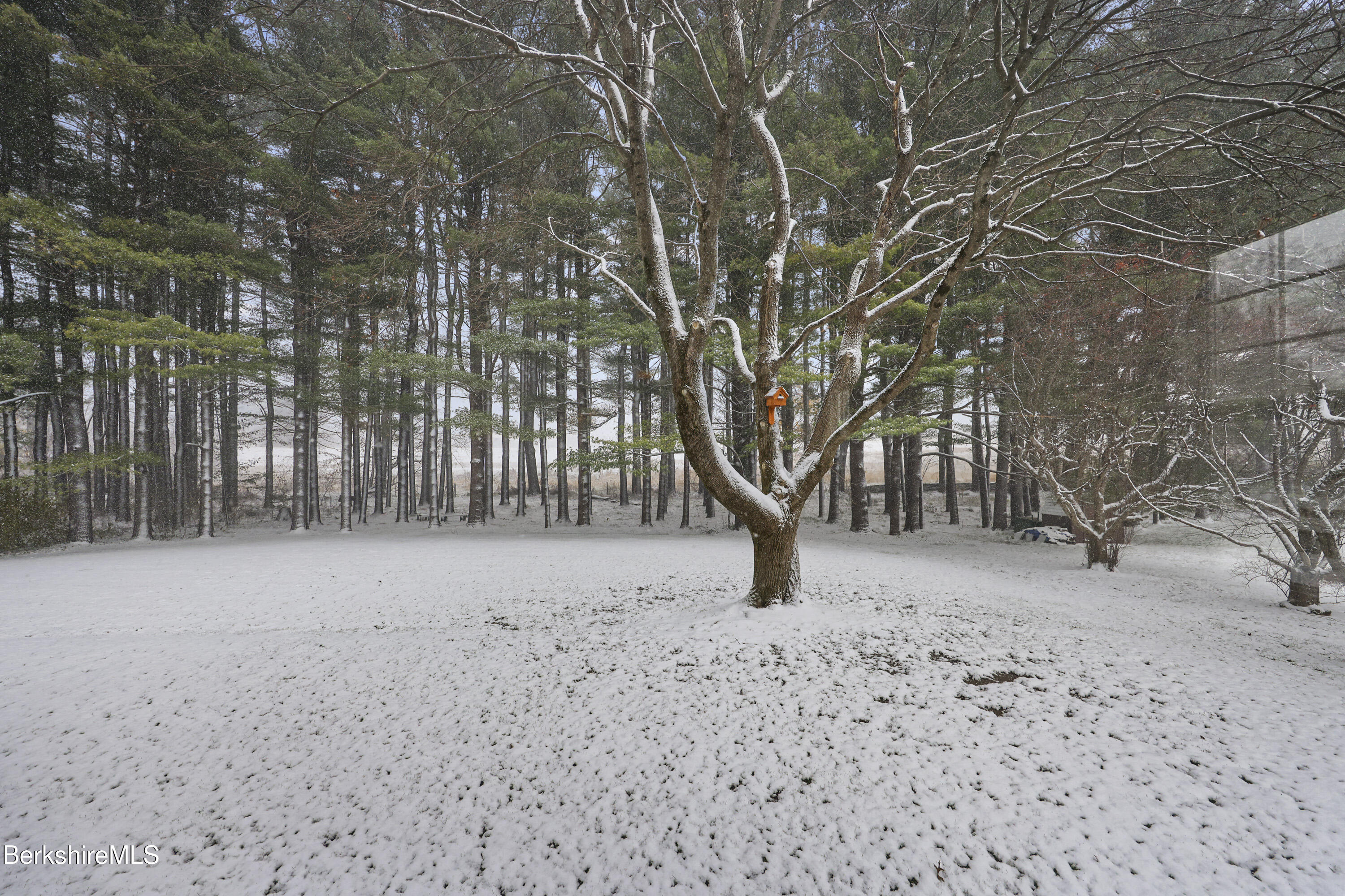 69 Gravesleigh Terrace Pittsfield, MA 01201 - Photo 17 of 84 a view of empty room with a snow