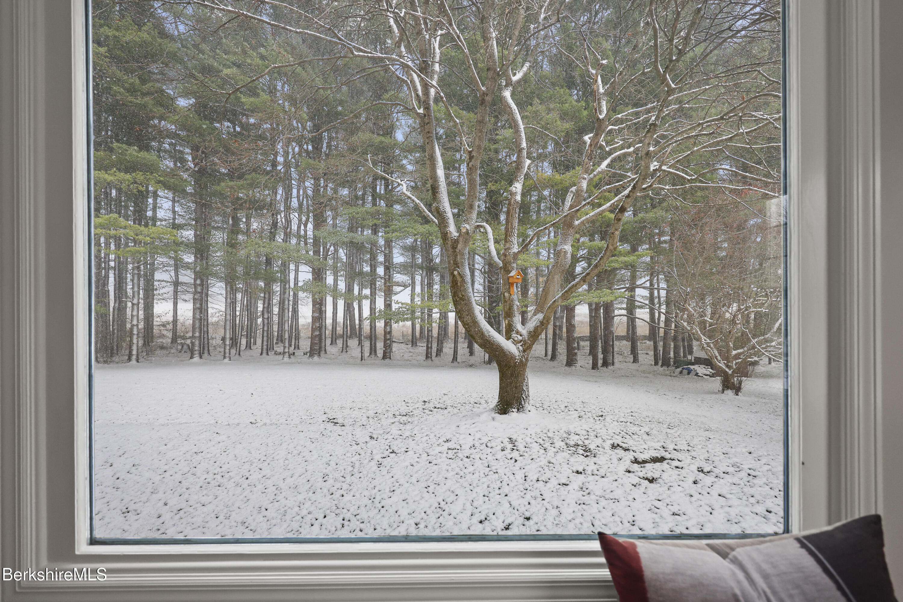 69 Gravesleigh Terrace Pittsfield, MA 01201 - Photo 18 of 84 85 Living Room View