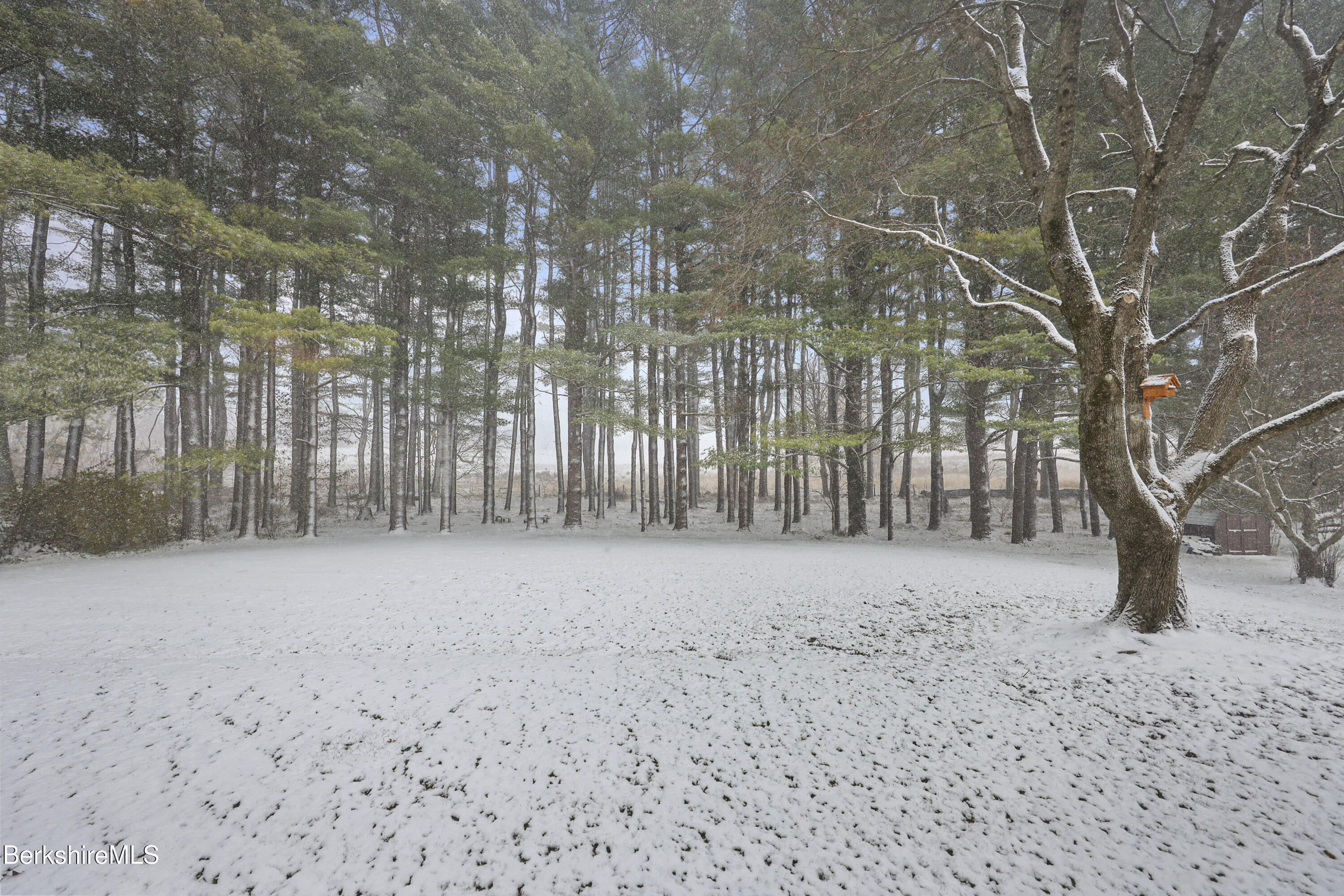69 Gravesleigh Terrace Pittsfield, MA 01201 - Photo 3 of 84 a view of wooden fence and trees