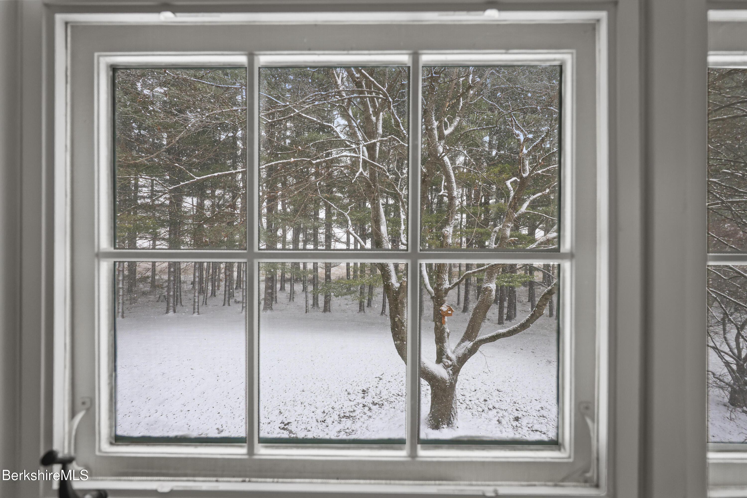 69 Gravesleigh Terrace Pittsfield, MA 01201 - Photo 59 of 84 115 Bedroom Two View
