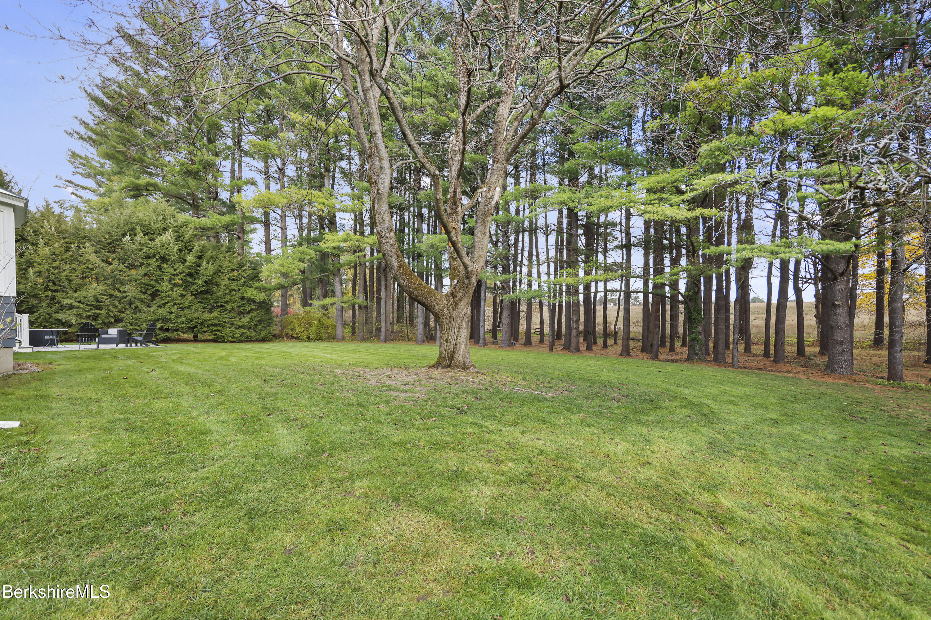 69 Gravesleigh Terrace Pittsfield, MA 01201 - Photo 79 of 84 a view of a park with large trees