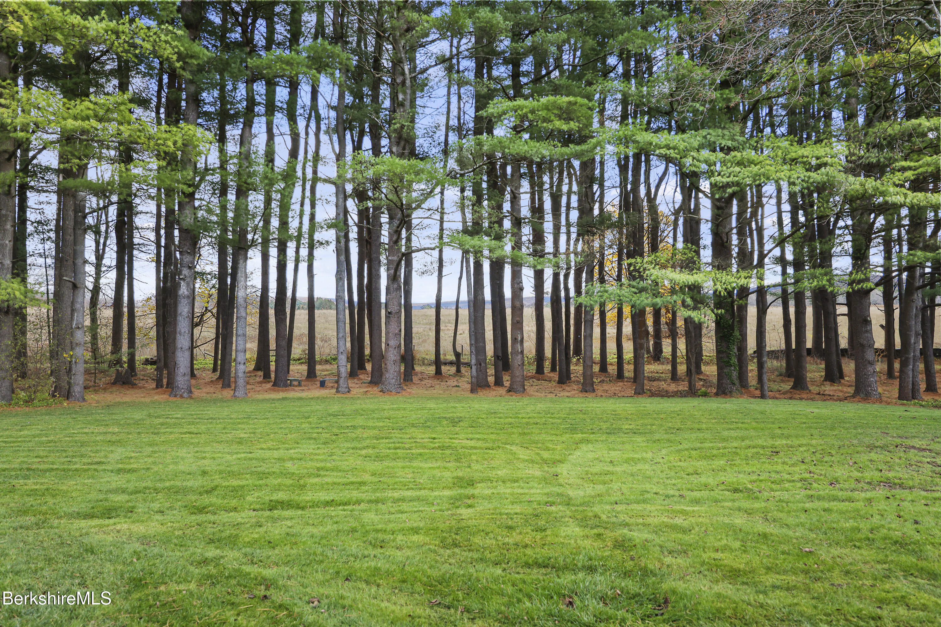 69 Gravesleigh Terrace Pittsfield, MA 01201 - Photo 80 of 84 380 Back Yard