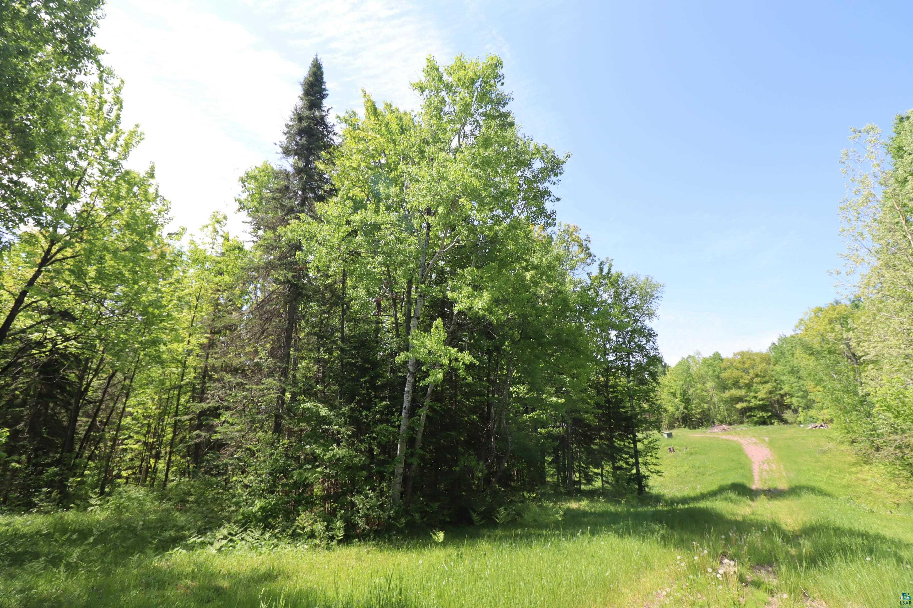 36945 State Highway 13 Bayfield, WI 54814 - Photo 3 of 24 Private & Peaceful