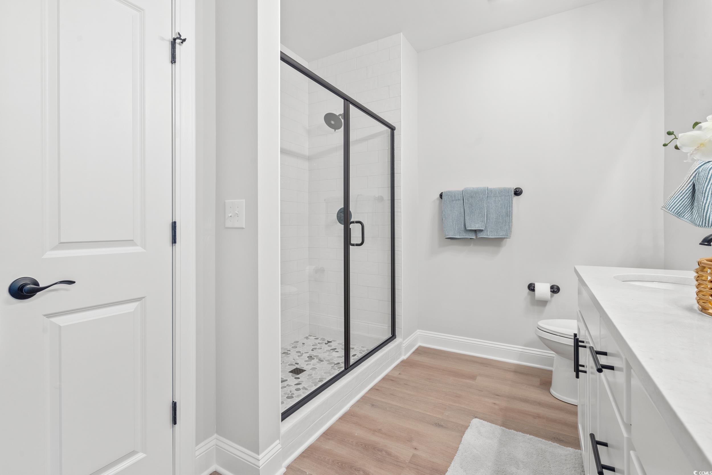 852 Commanders Island Road Georgetown, SC 29440 - Photo 11 of 37 Full bathroom with a shower stall, vanity, baseboards, toilet, and wood finished floors