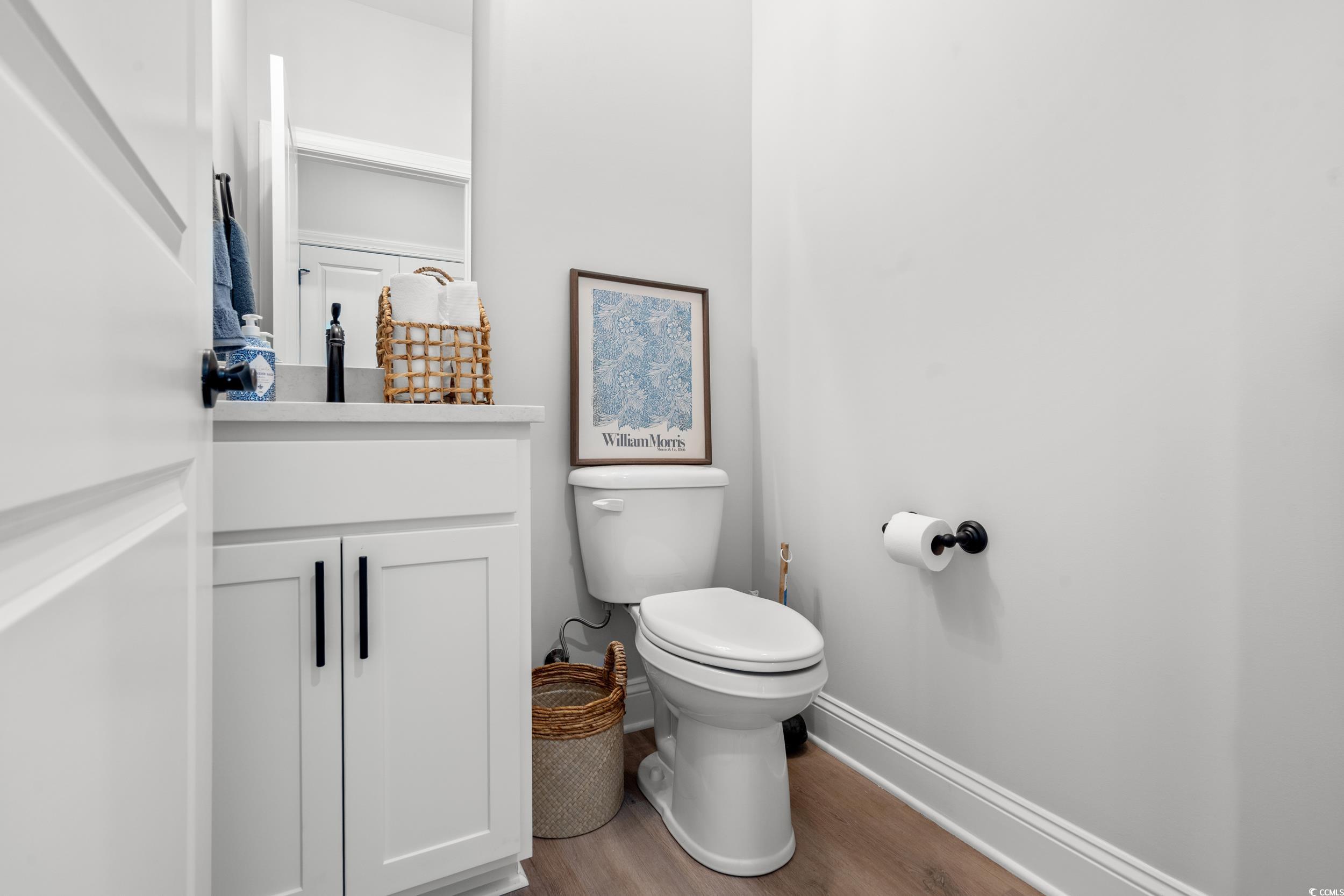 852 Commanders Island Road Georgetown, SC 29440 - Photo 5 of 37 Bathroom with wood finished floors, baseboards, toilet, and vanity