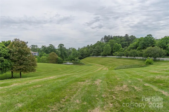 a view of a big yard with plants and large trees