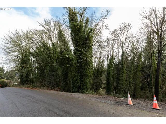 a view of outdoor space with trees